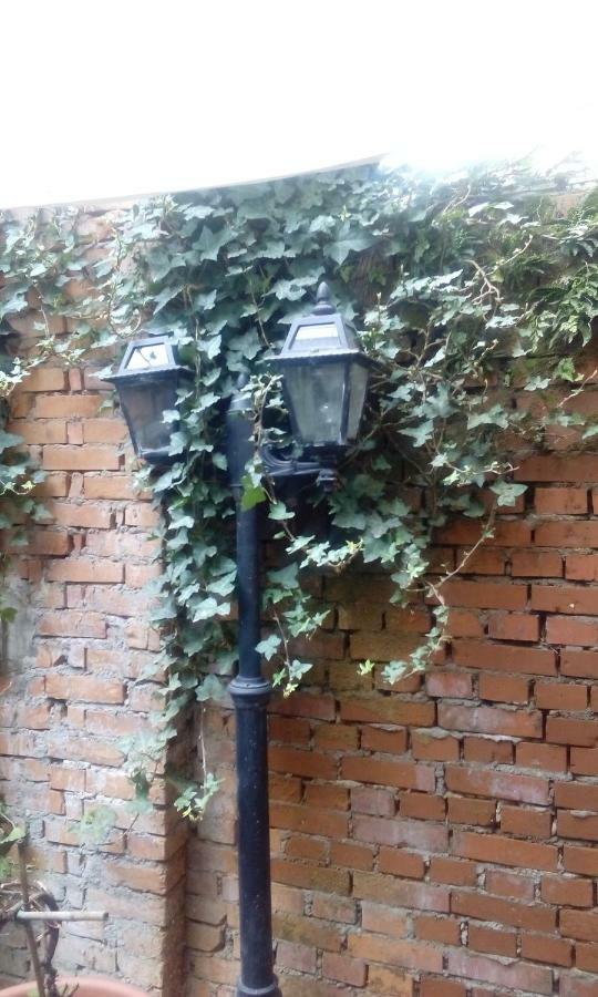 Central Apartment With Garden Milan Bagian luar foto