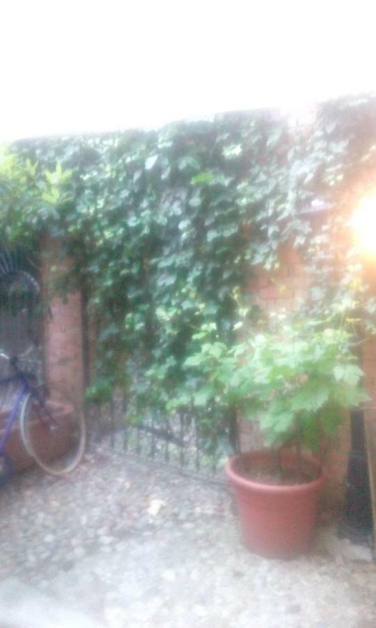 Central Apartment With Garden Milan Bagian luar foto